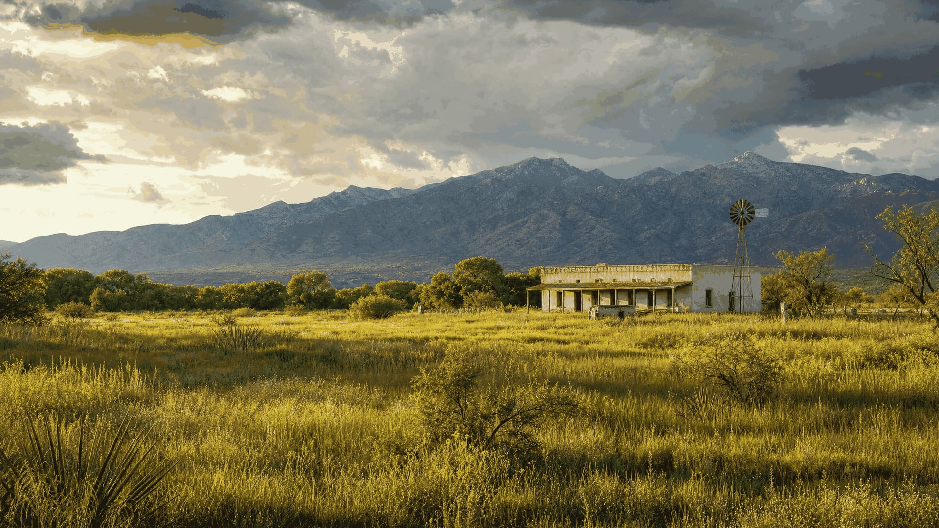 An illustrative late-summer scene evoking the Las Cienegas grasslands southeast of Tucson — rolling green and gold grass running to a low adobe ranch building with a windmill beside it, scattered oaks along a creek line, and the layered ridges of the Santa Rita Mountains under a tall monsoon cloud.
