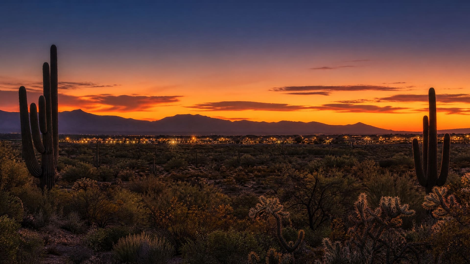 An atmospheric dusk mood image of open Sonoran Desert on the southwest edge of metro Tucson — a low horizon and silhouetted saguaros against a deep indigo-to-amber sunset gradient, with soft warm bokeh lights along the skyline suggesting new rooftops coming on at twilight.